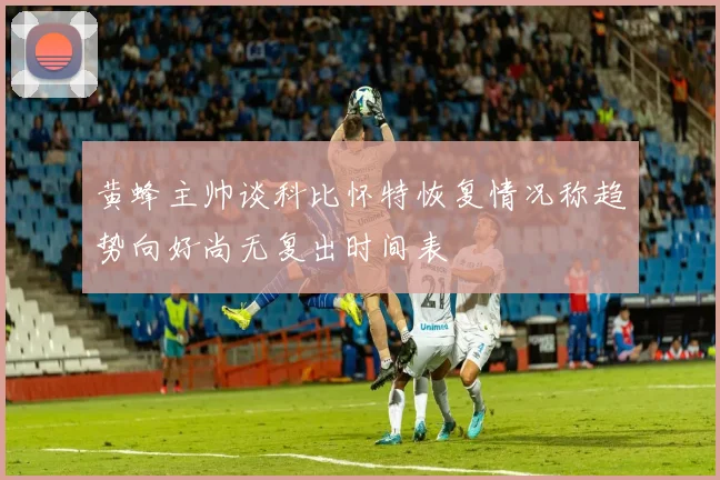 黄蜂主帅谈科比怀特恢复情况称趋势向好尚无复出时间表